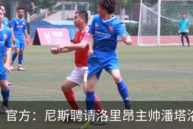 官方：尼斯聘请洛里昂主帅潘塔洛尼担任球队新帅